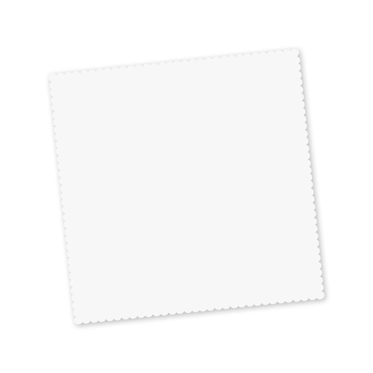 Screen Cleaning Kit (2)