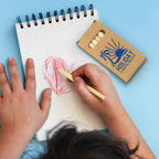 Coloured Pencil Pack (4)