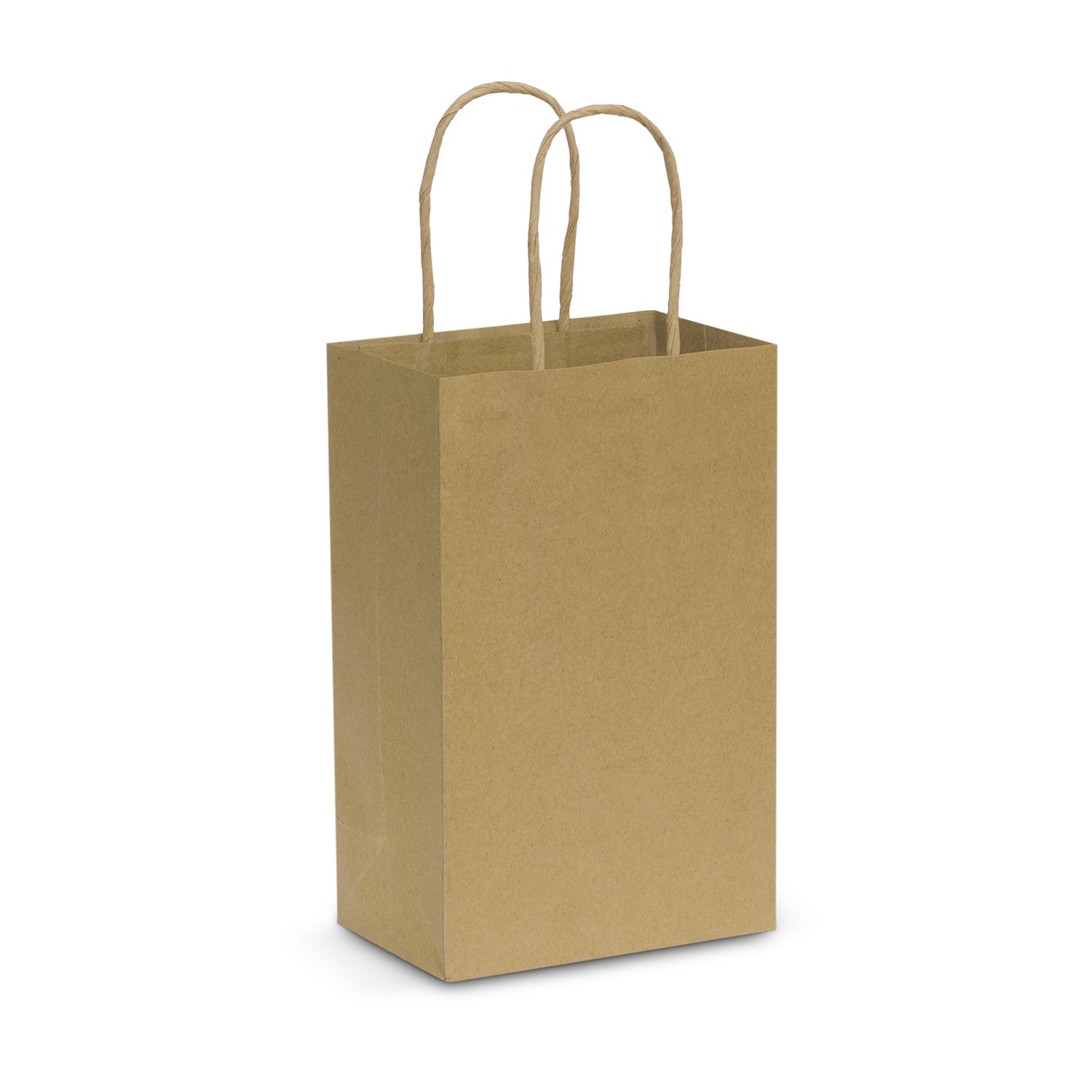 Paper Carry Bag - Small (3)