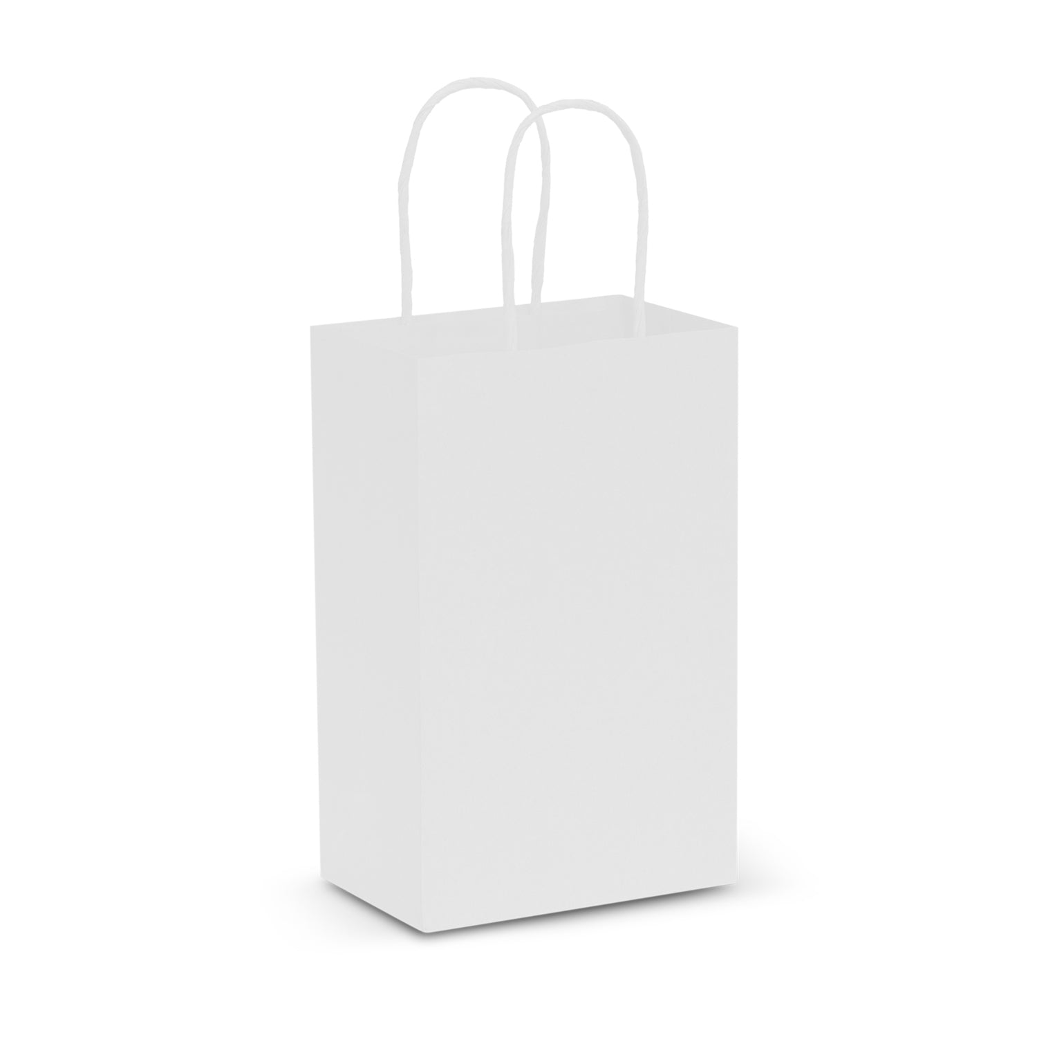 Paper Carry Bag - Small (4)