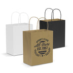 Paper Carry Bag - Medium (2)