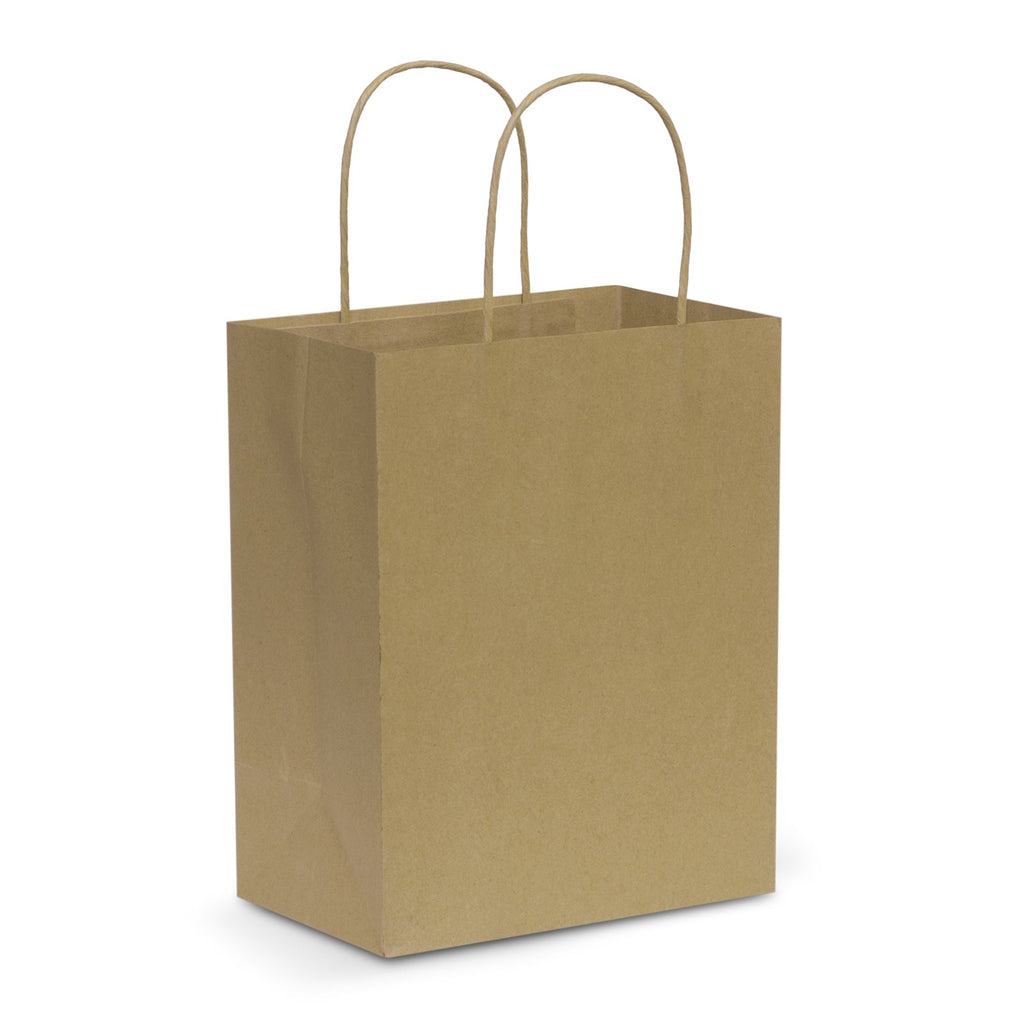 Paper Carry Bag - Medium (3)