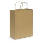 Paper Carry Bag - Large (3)