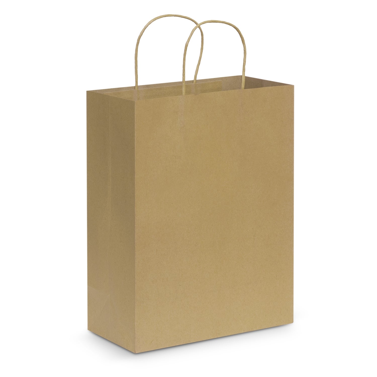 Paper Carry Bag - Large (3)