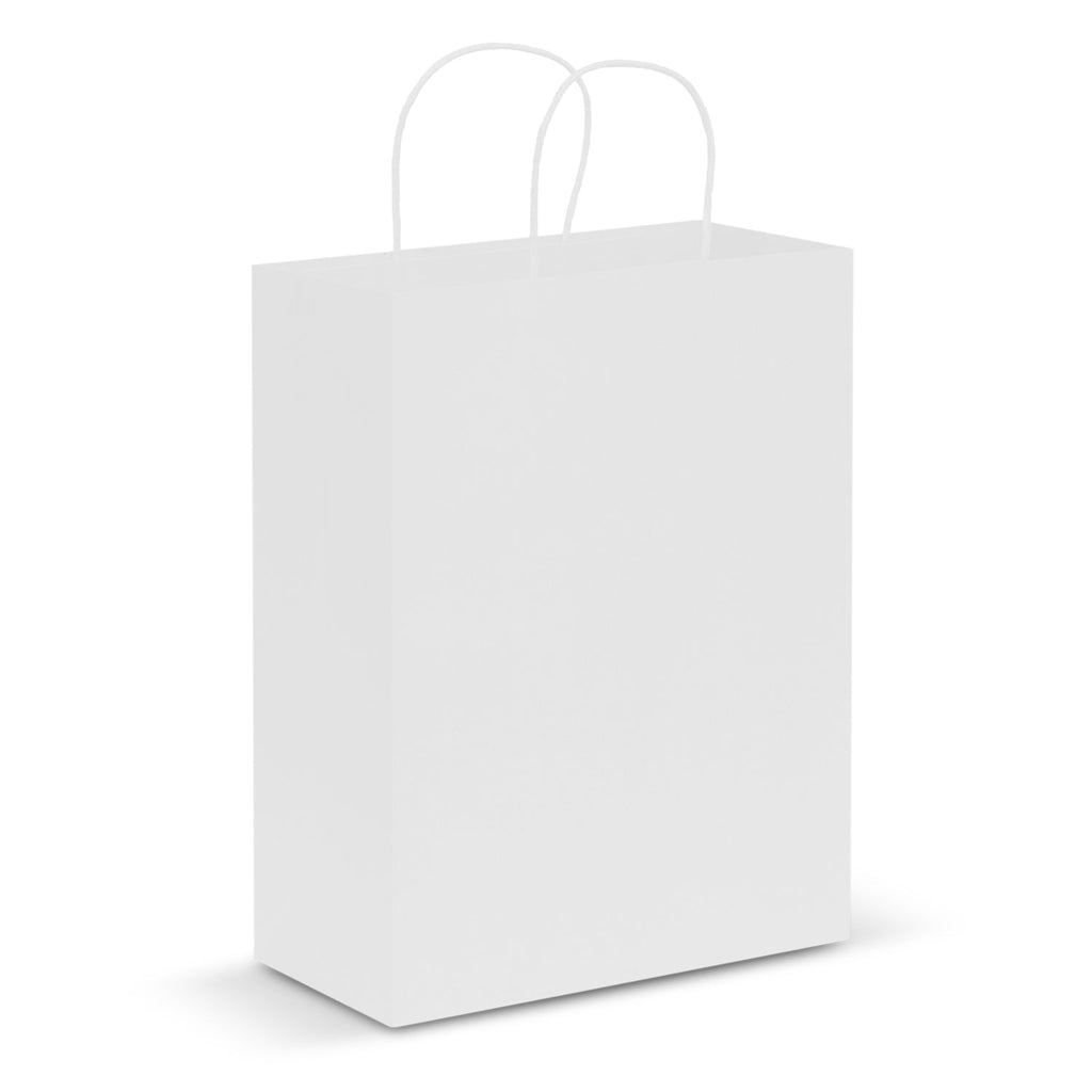 Paper Carry Bag - Large (4)