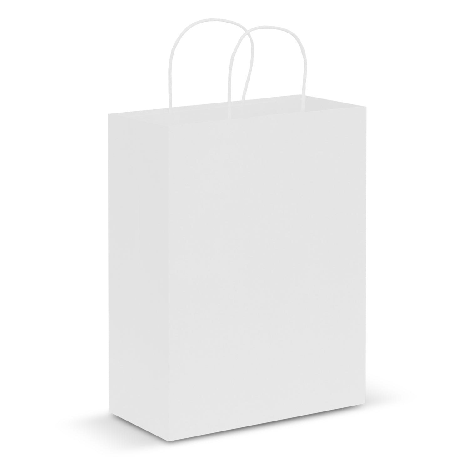 Paper Carry Bag - Large (4)
