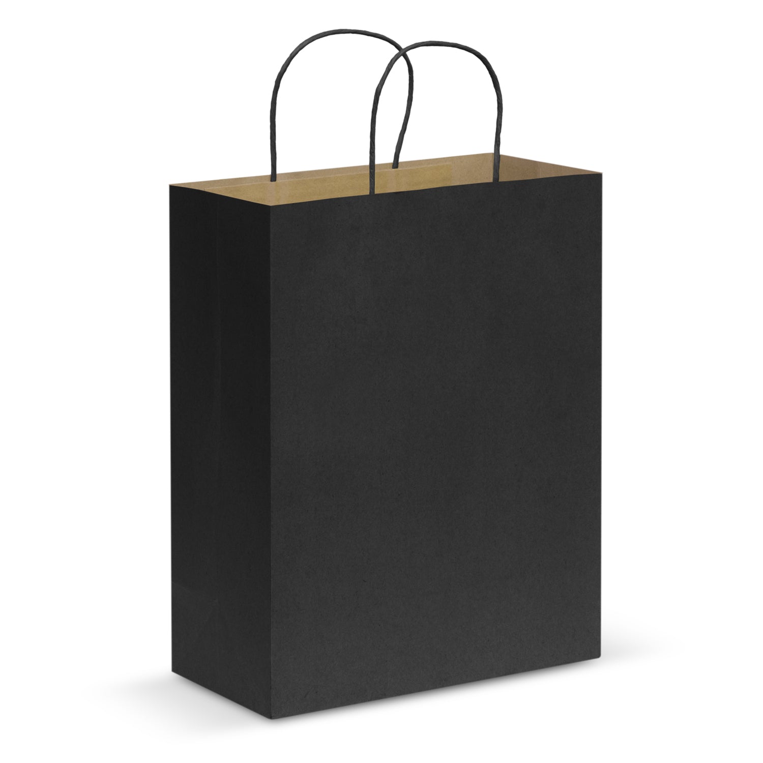 Paper Carry Bag - Large (5)