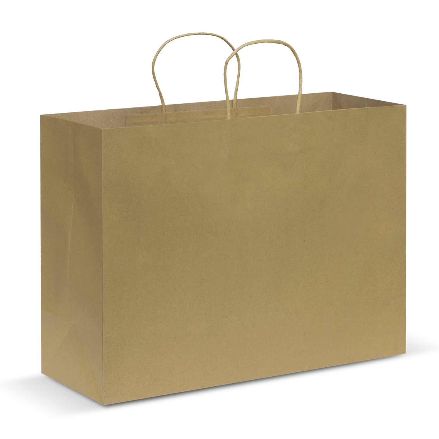Paper Carry Bag - Extra Large (3)