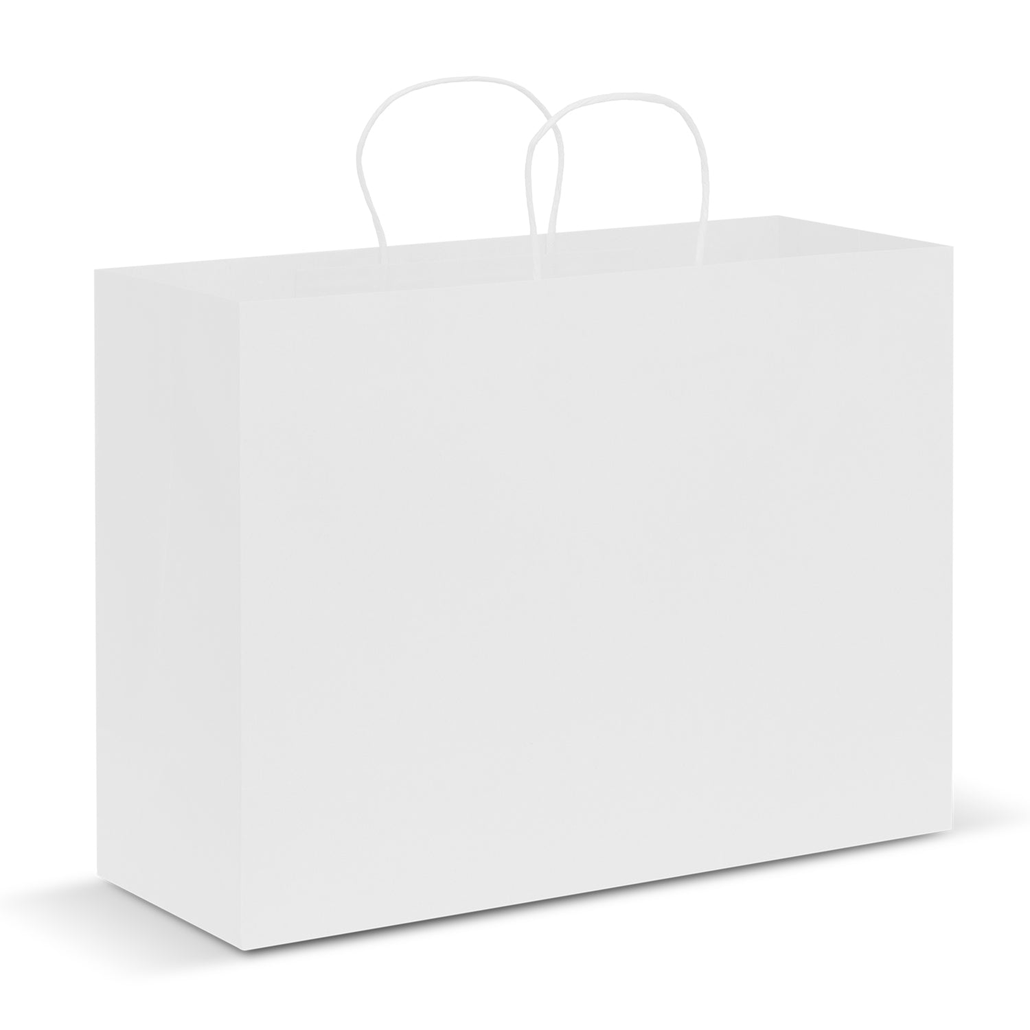 Paper Carry Bag - Extra Large (4)