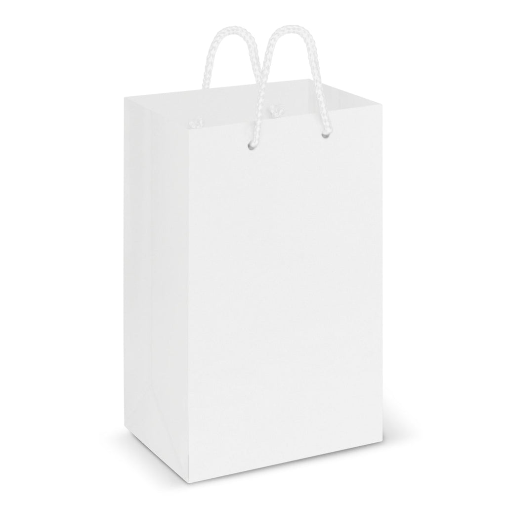 Laminated Carry Bag - Small (2)