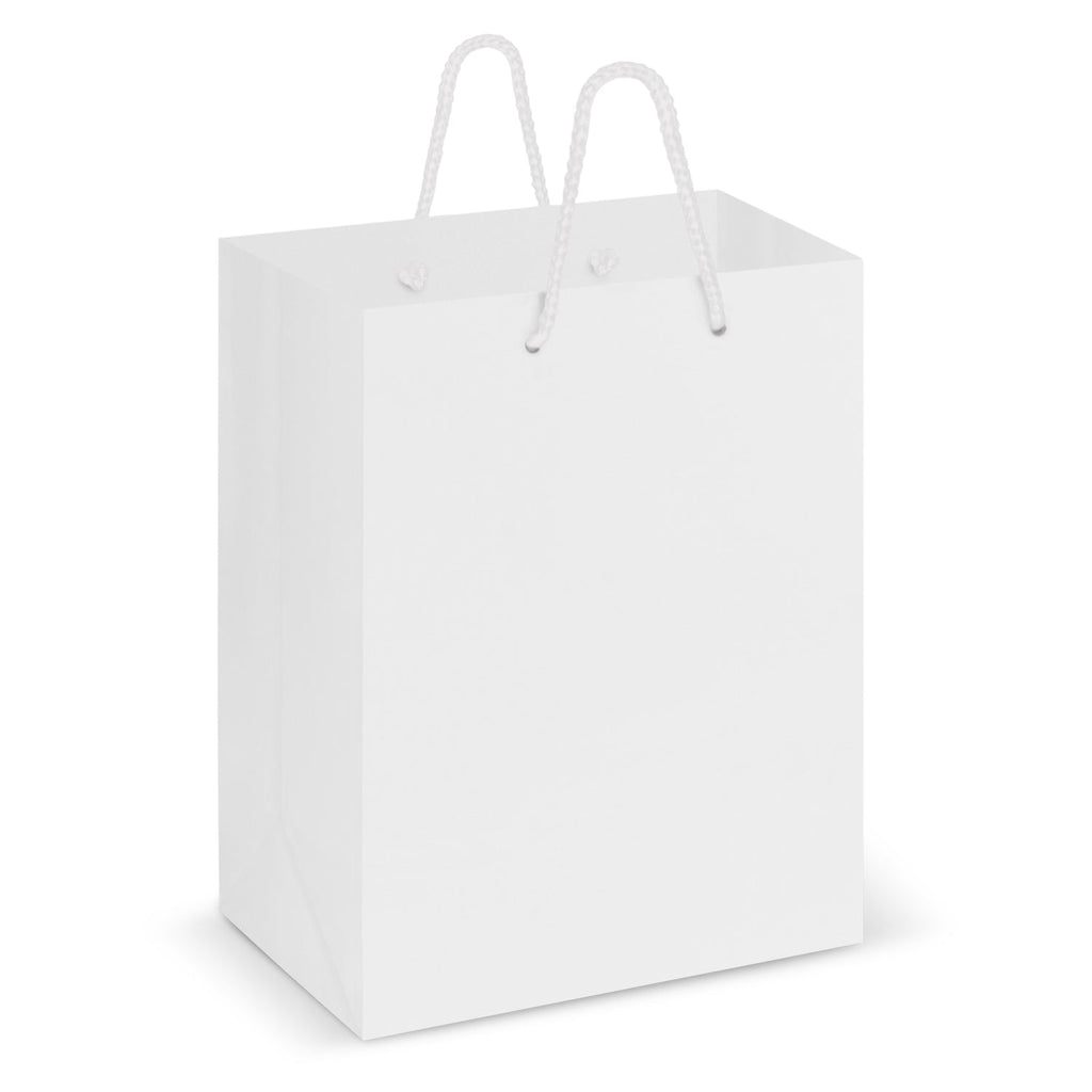Laminated Carry Bag - Medium (2)
