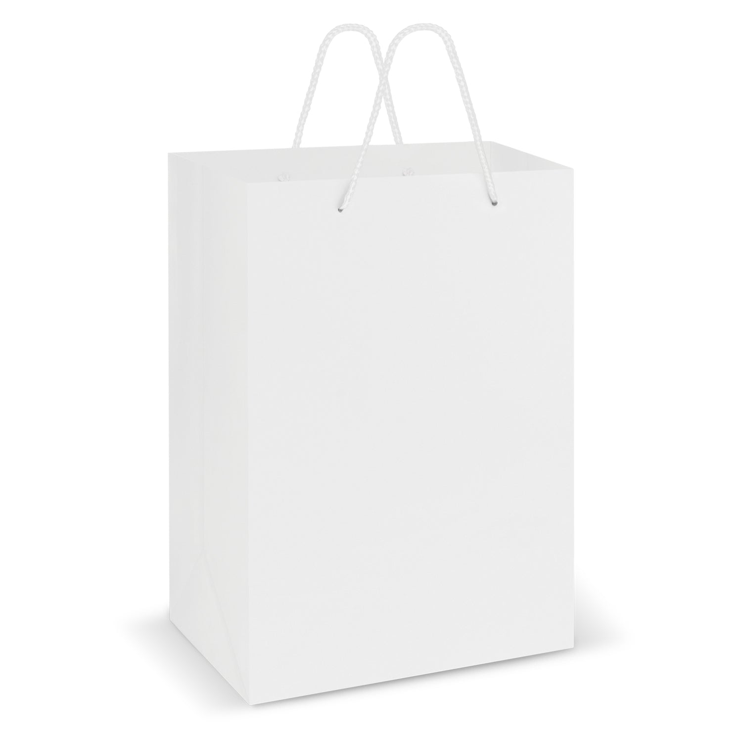 Laminated Carry Bag - Large (2)