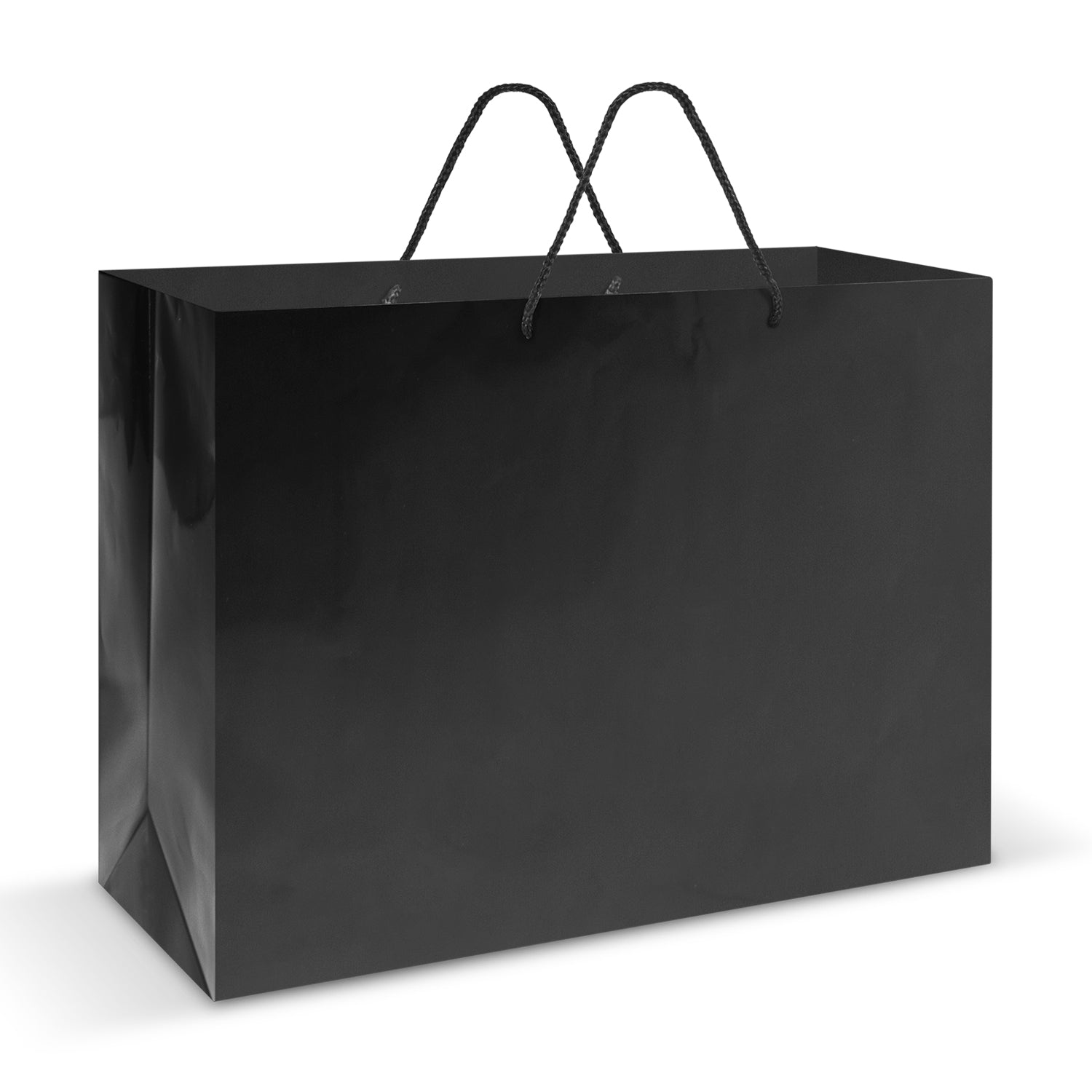 Laminated Carry Bag - Extra Large (3)