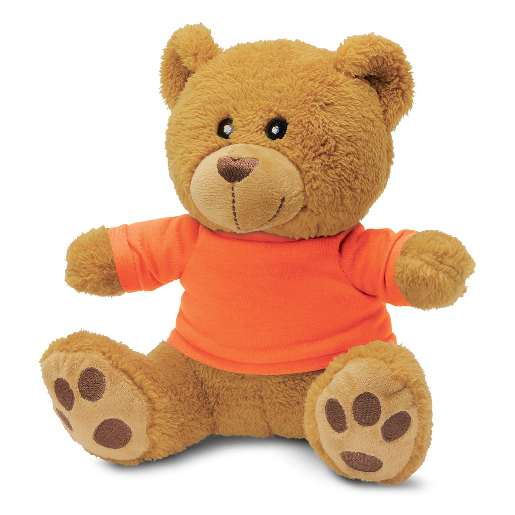 Teddy Bear Plush Toy (5)
