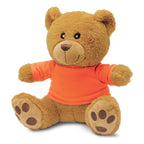 Teddy Bear Plush Toy (5)