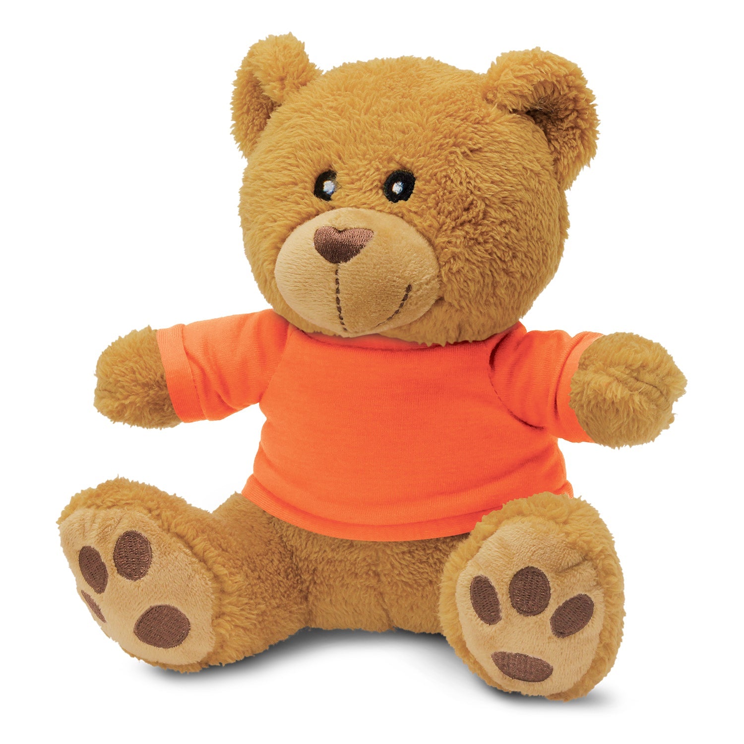 Teddy Bear Plush Toy (5)