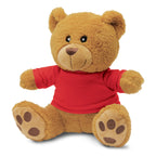 Teddy Bear Plush Toy (6)