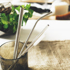Stainless Steel Straw Set (4)