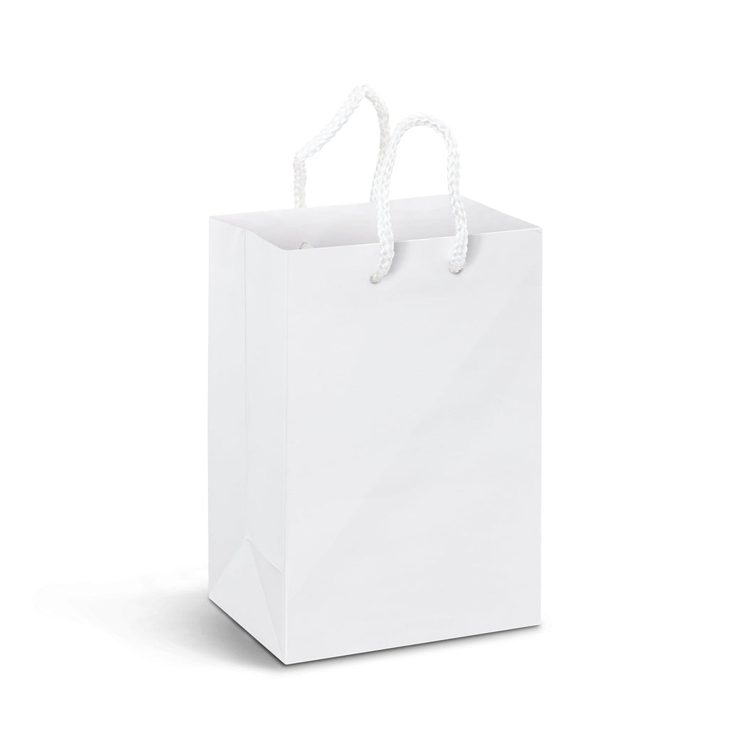 Small Laminated Paper Carry Bag - Full Colour (2)