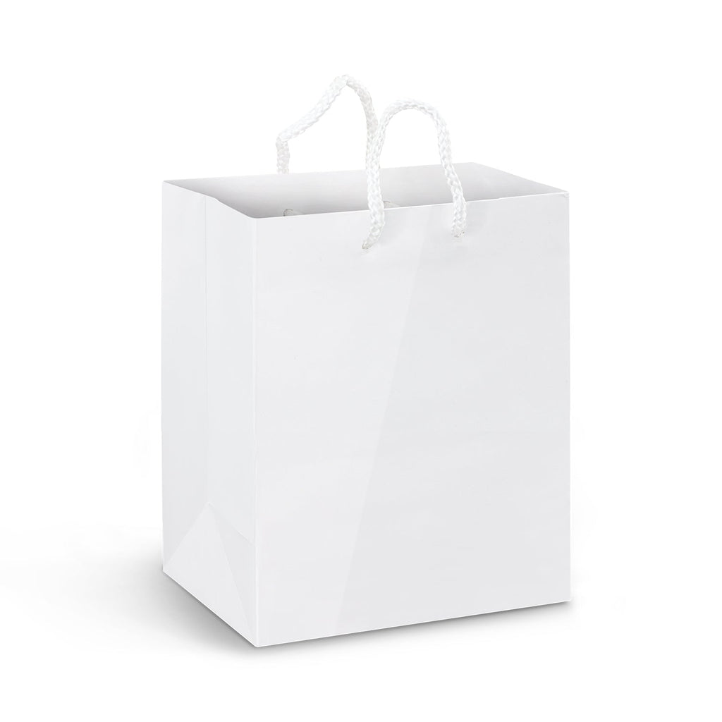 Medium Laminated Paper Carry Bag - Full Colour (2)