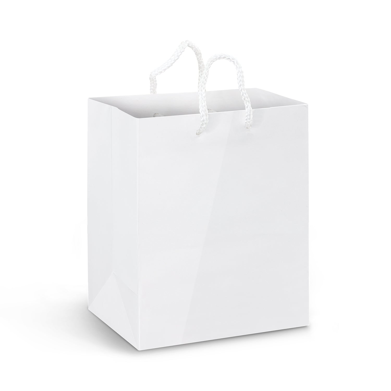 Medium Laminated Paper Carry Bag - Full Colour (2)