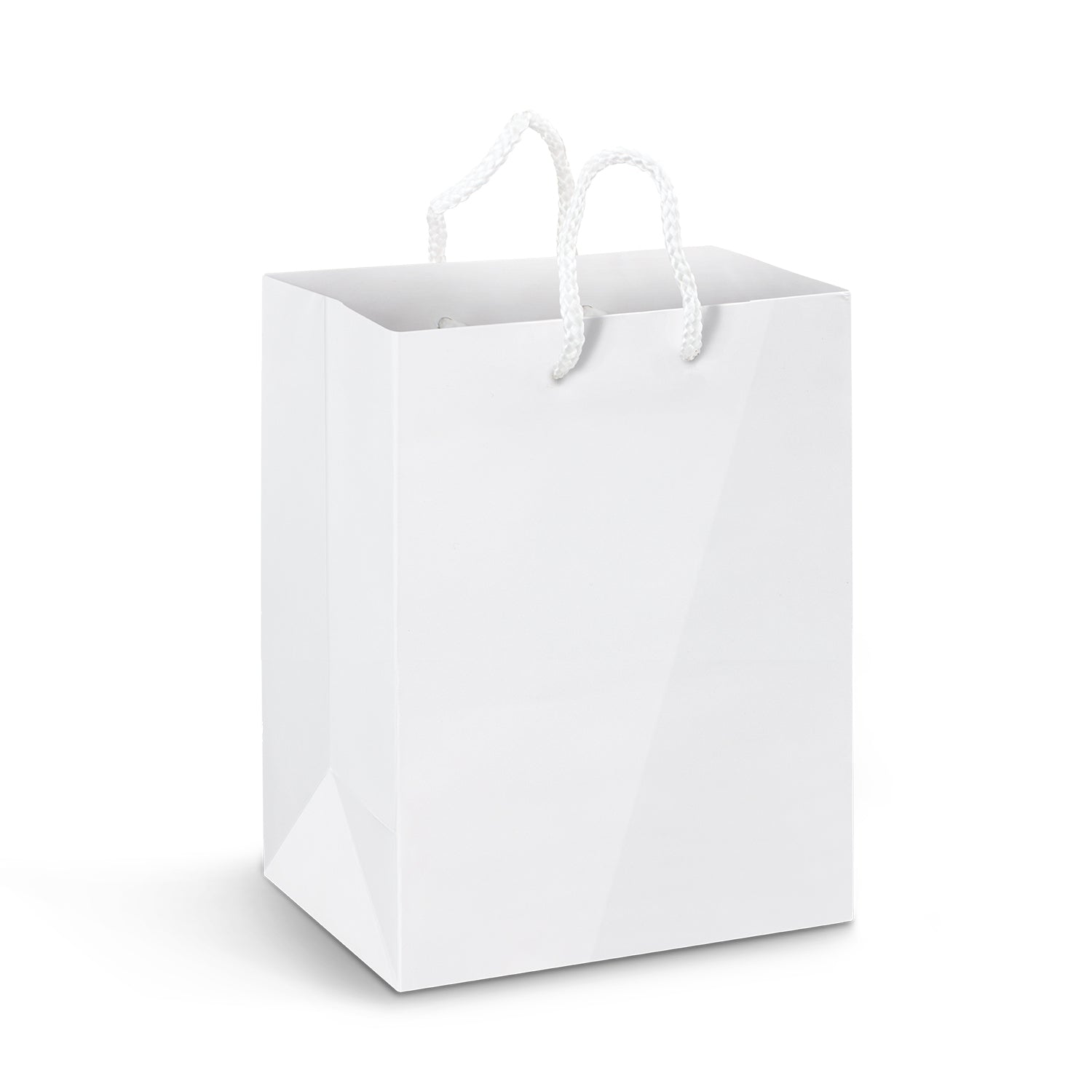 Large Laminated Paper Carry Bag - Full Colour (2)