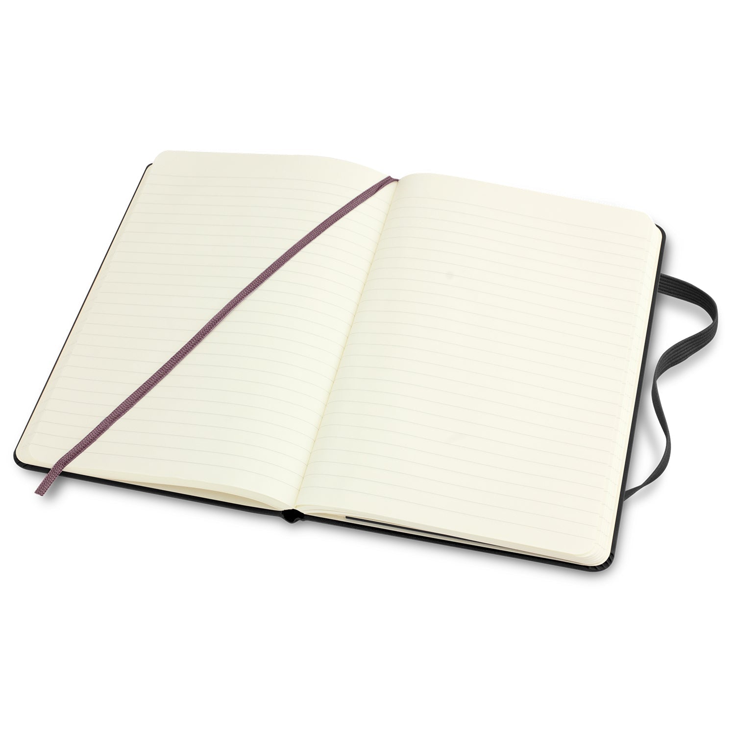 Moleskine Classic Hard Cover Notebook - Large (14)