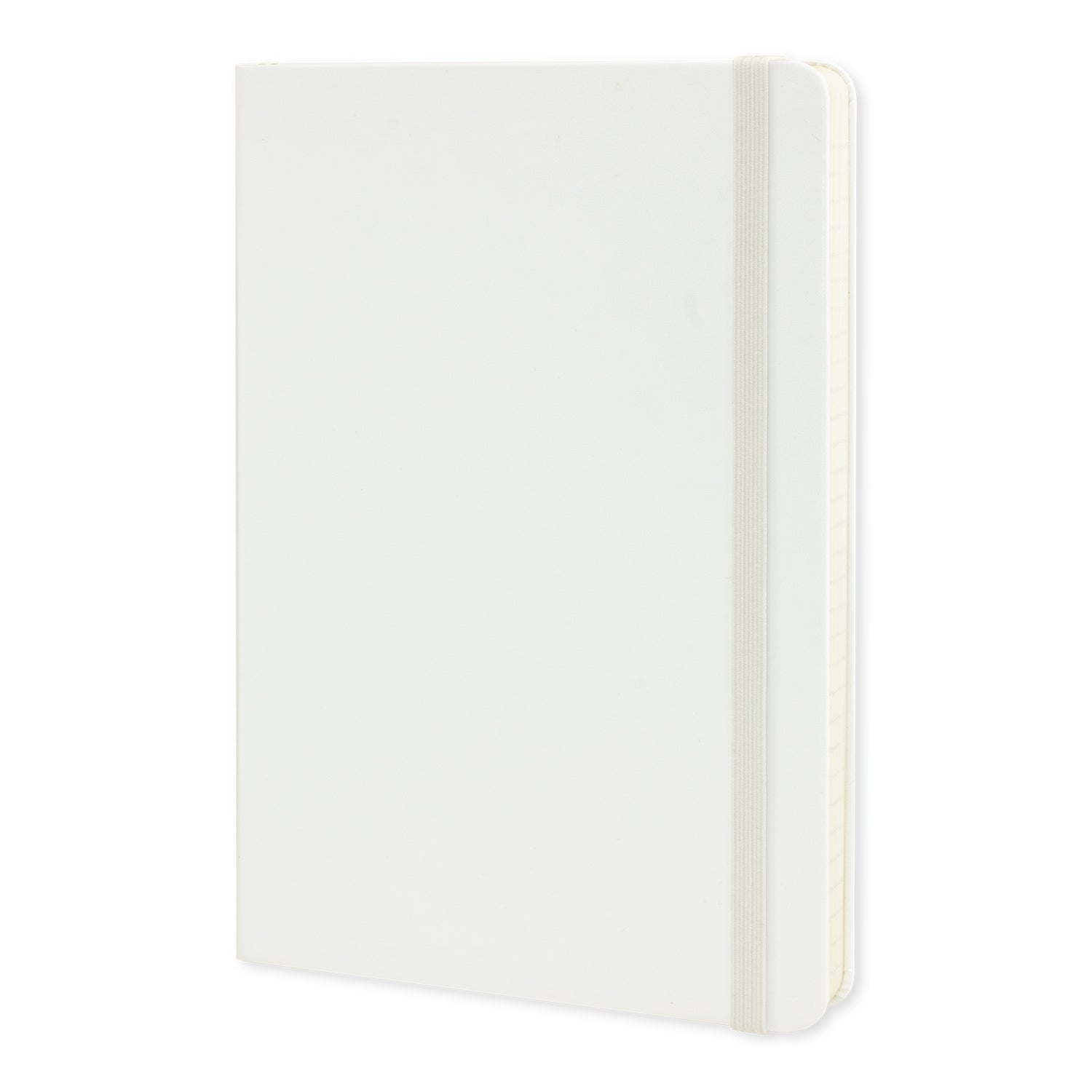 Moleskine Classic Hard Cover Notebook - Large (3)