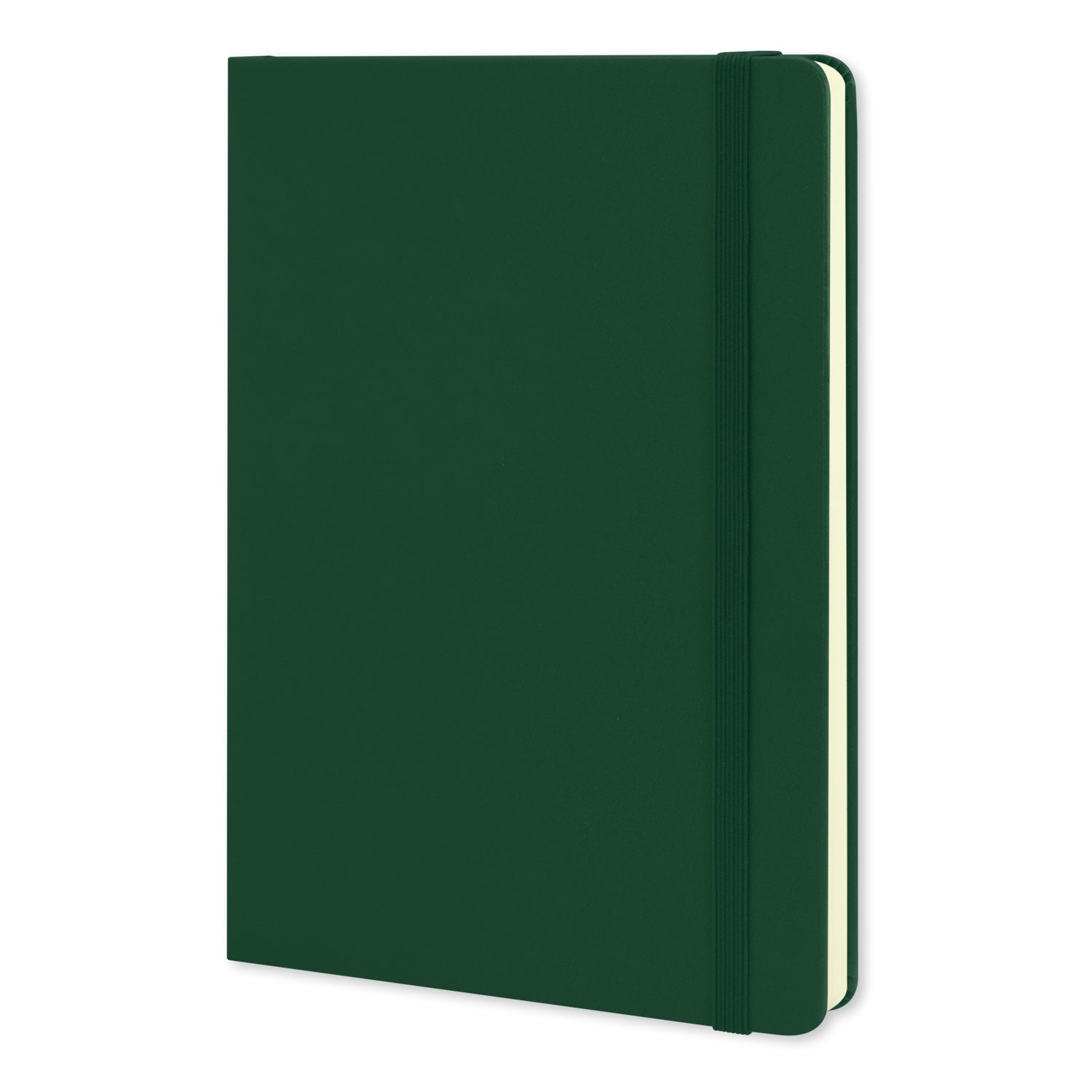 Moleskine Classic Hard Cover Notebook - Large (7)