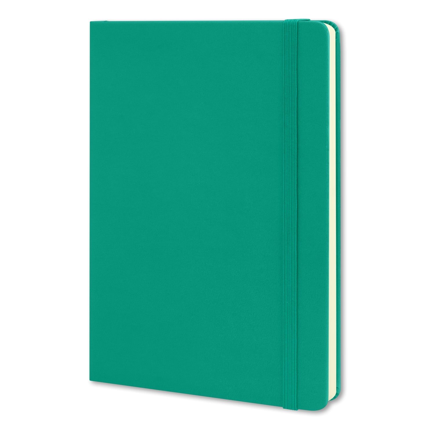 Moleskine Classic Hard Cover Notebook - Large (8)