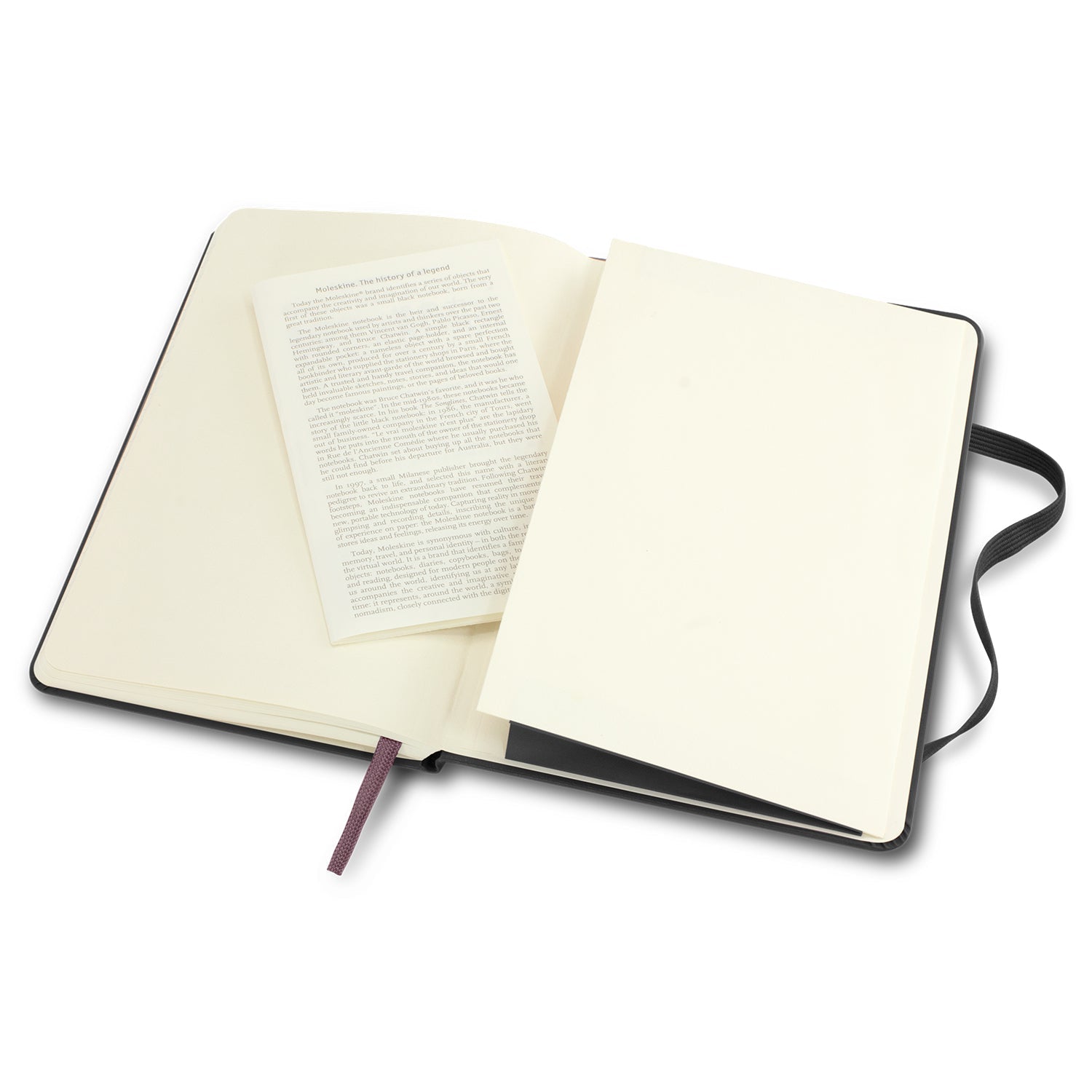 Moleskine Classic Hard Cover Notebook - Medium (13)