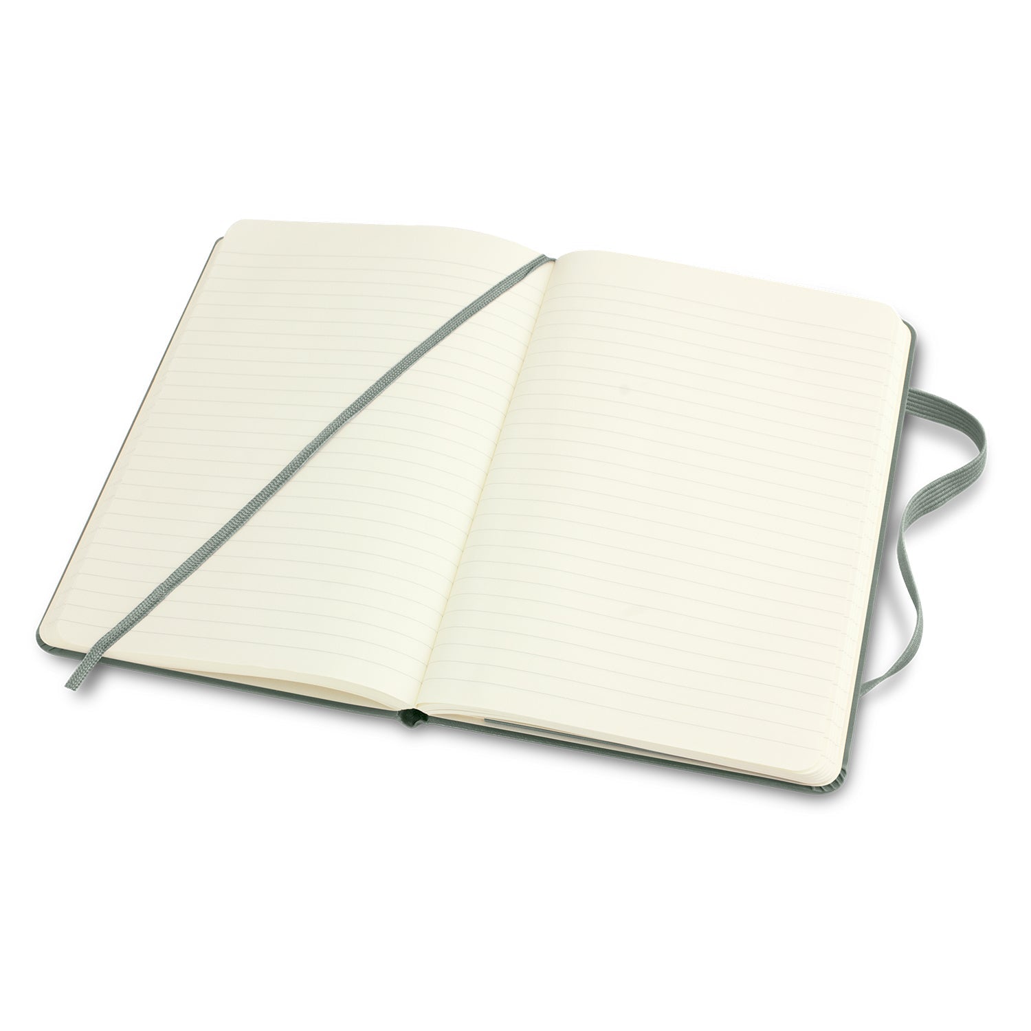 Moleskine Classic Hard Cover Notebook - Medium (8)