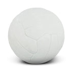 Netball Pro (2)