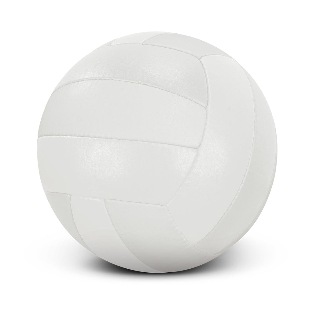 Volleyball Pro (2)
