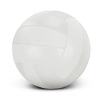 Volleyball Pro (2)
