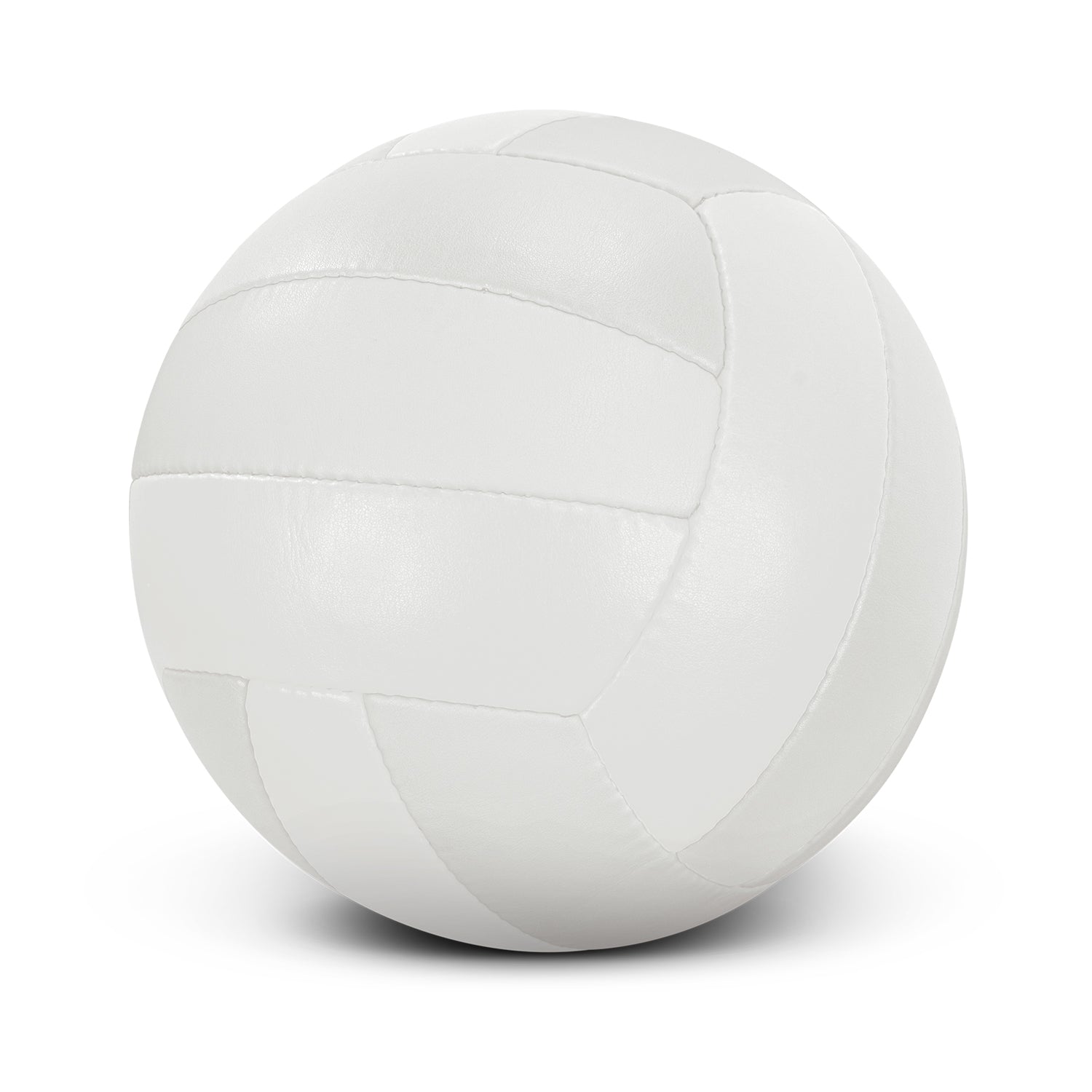 Volleyball Pro (2)