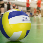 Volleyball Pro (3)