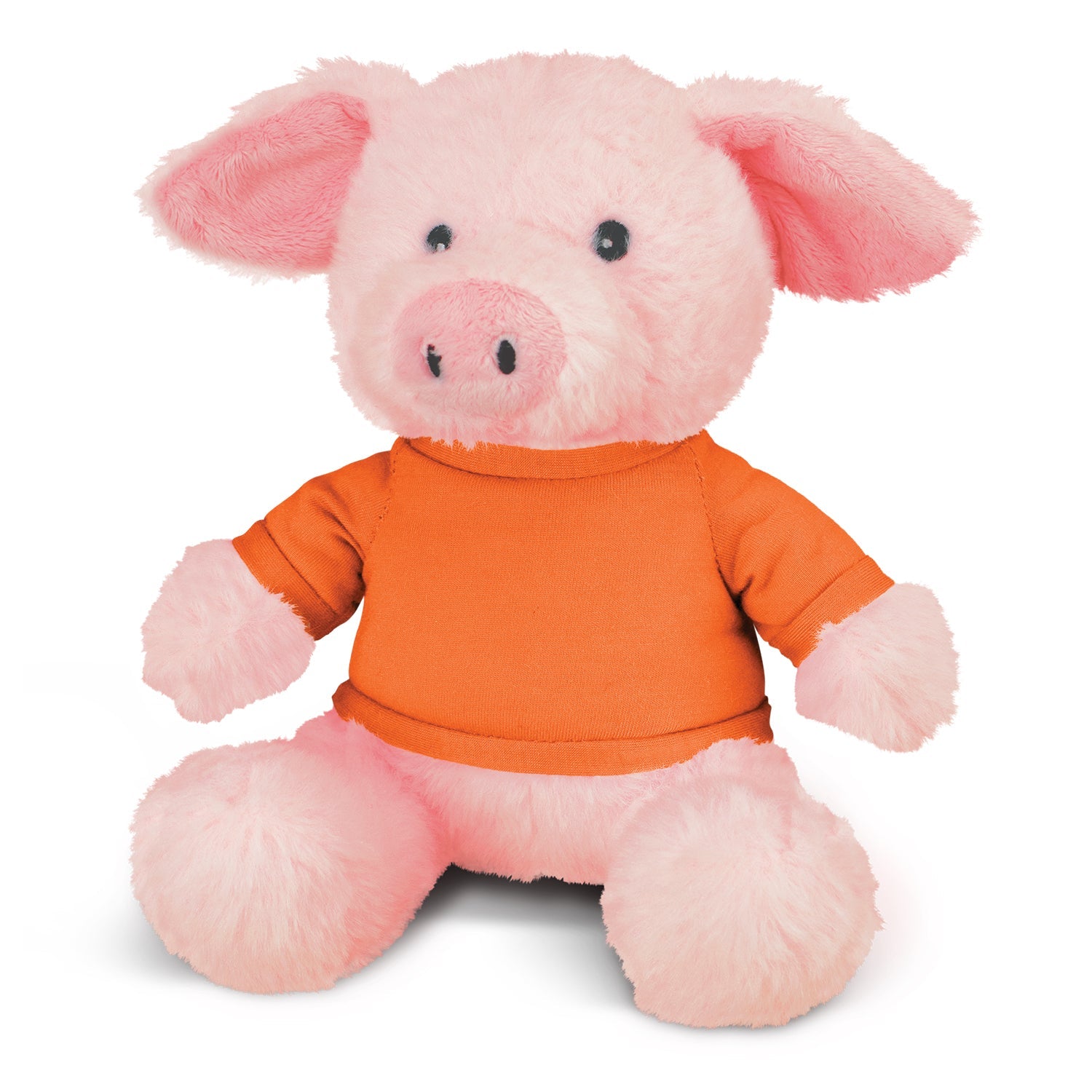 Pig Plush Toy (5)