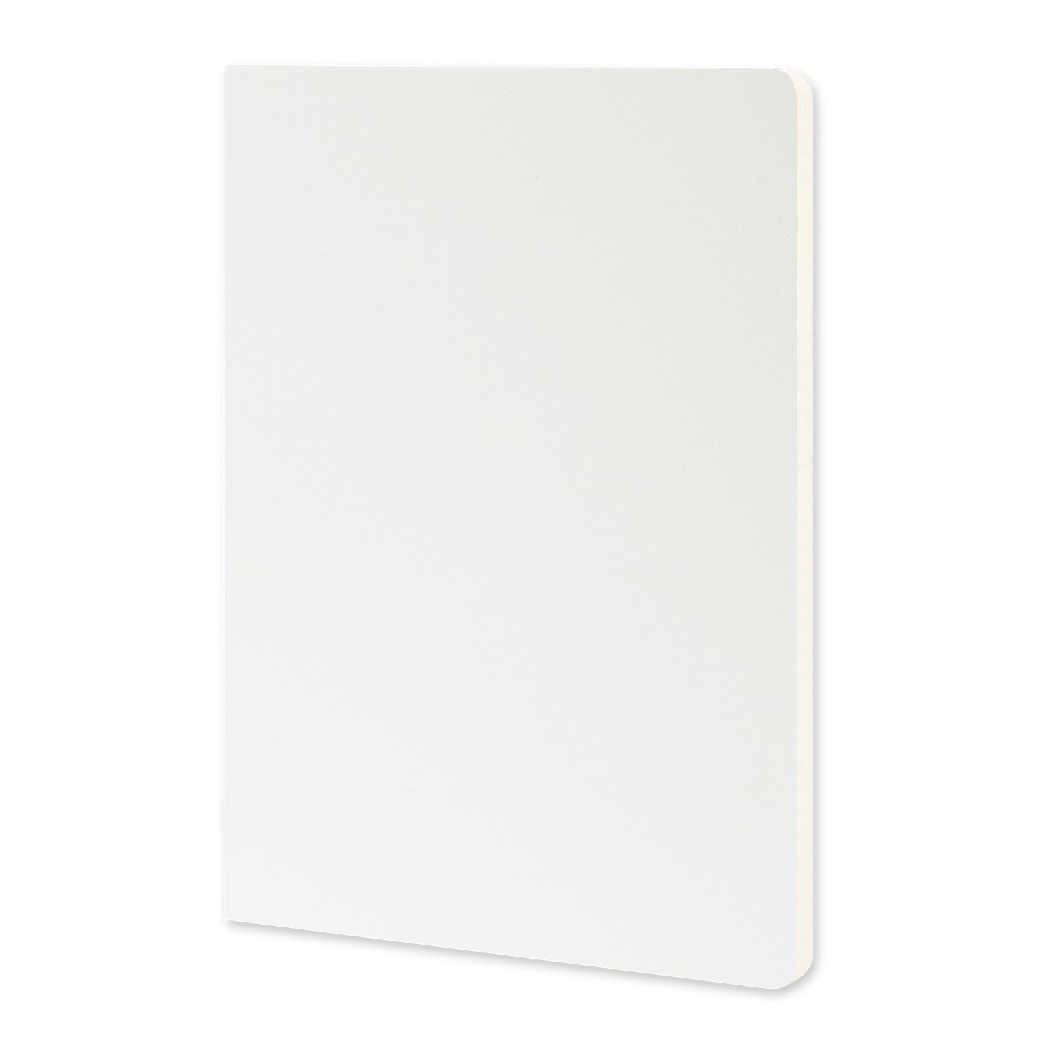Moleskine Volant Journal - Large (2)