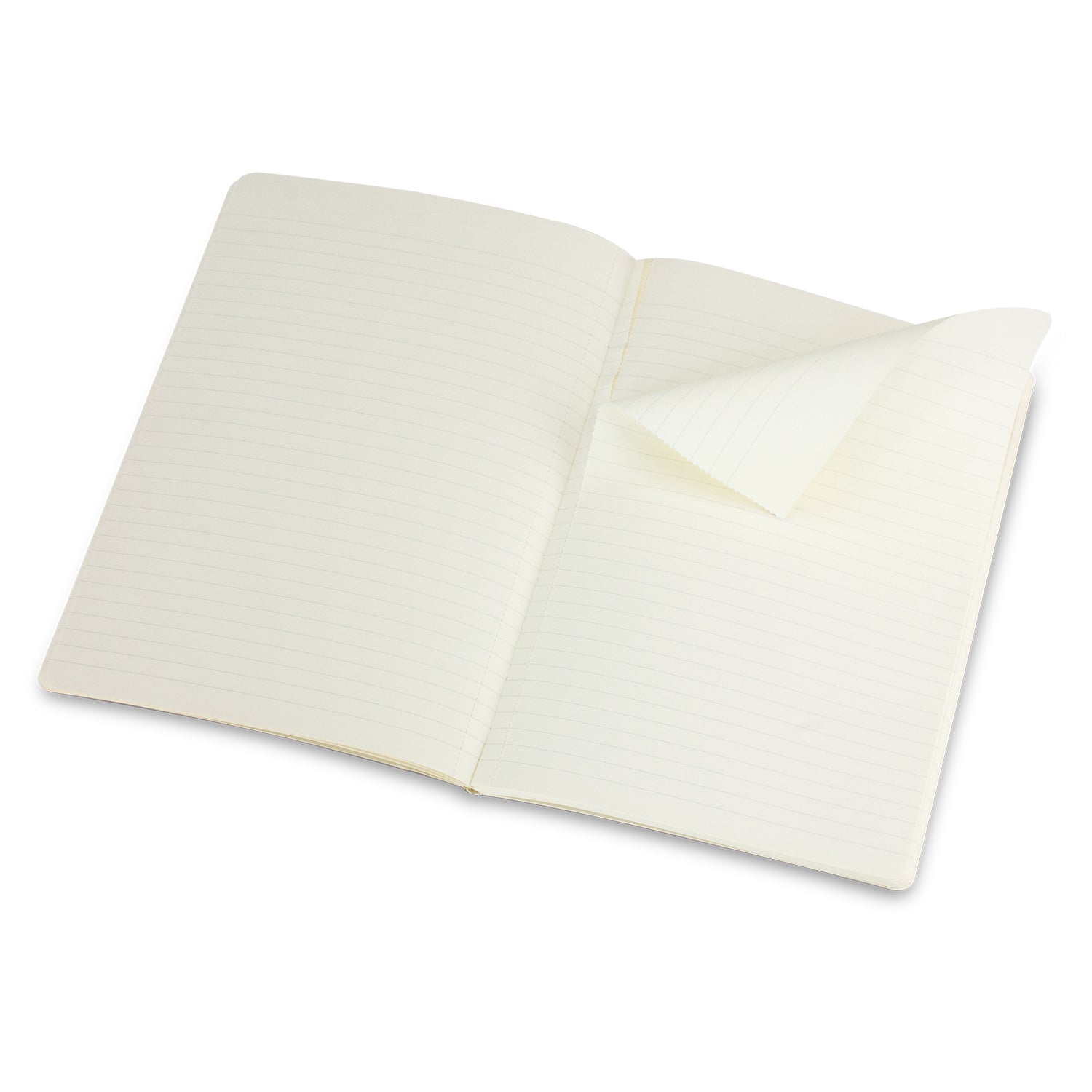 Moleskine Volant Journal - Large (4)
