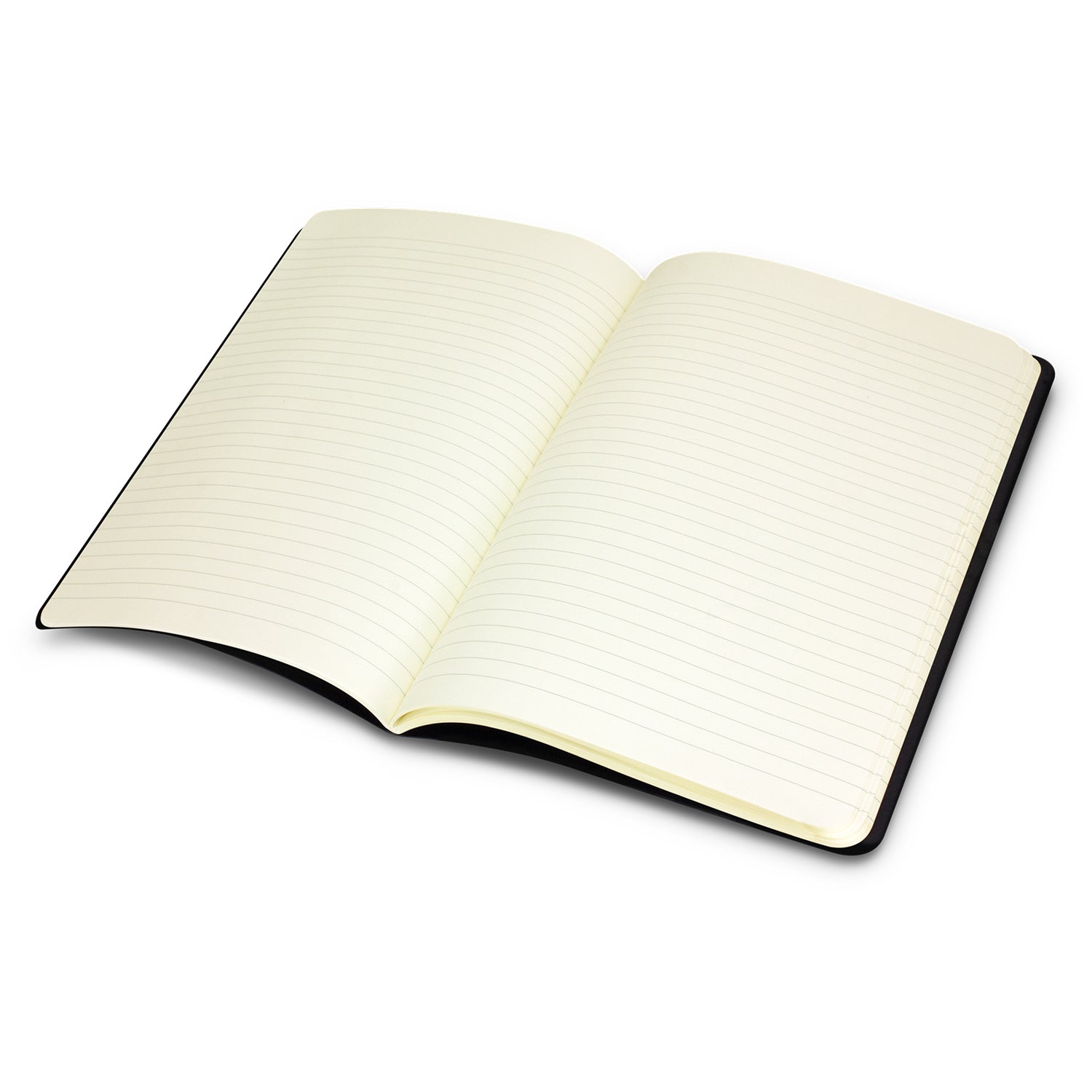 Moleskine Cahier Journal (5)
