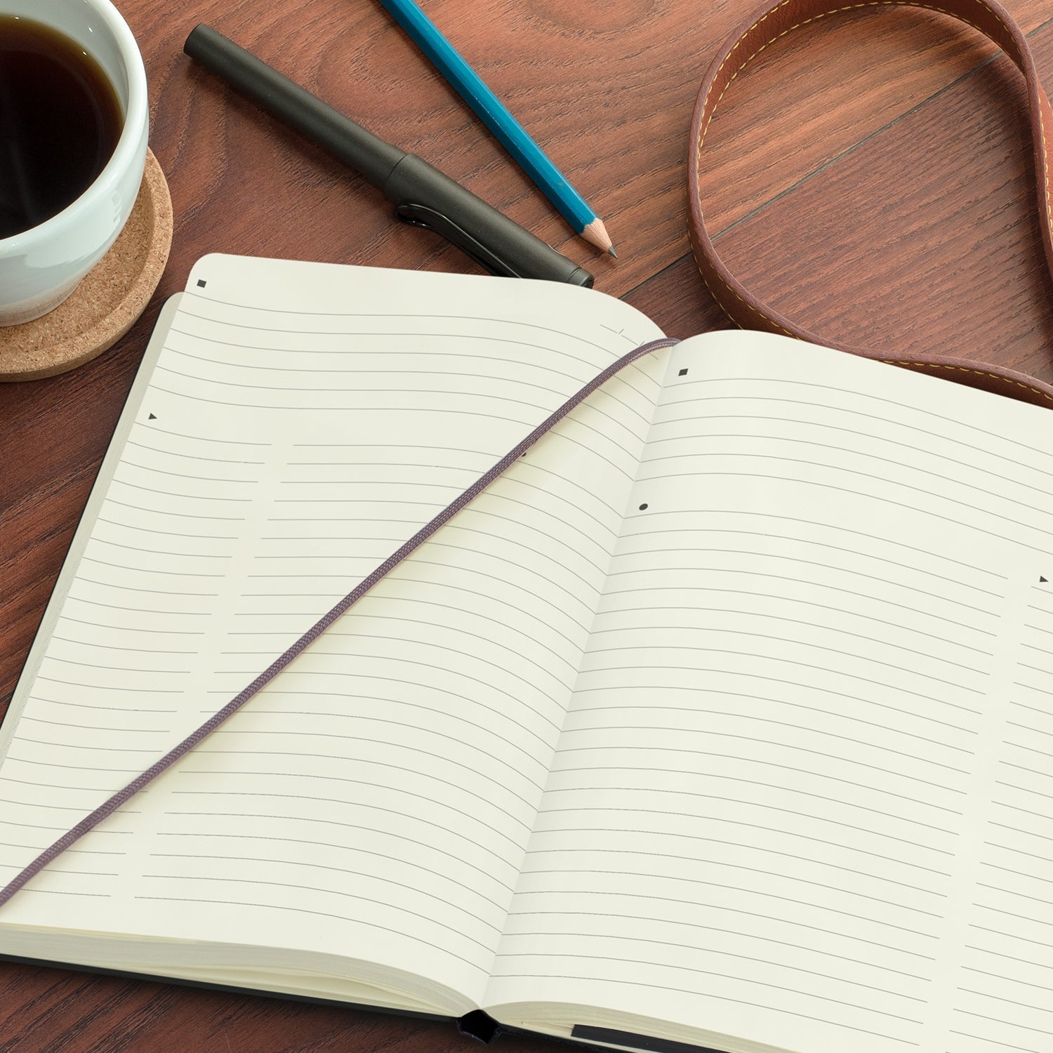 Moleskine Pro Hard Cover Notebook - Large (8)