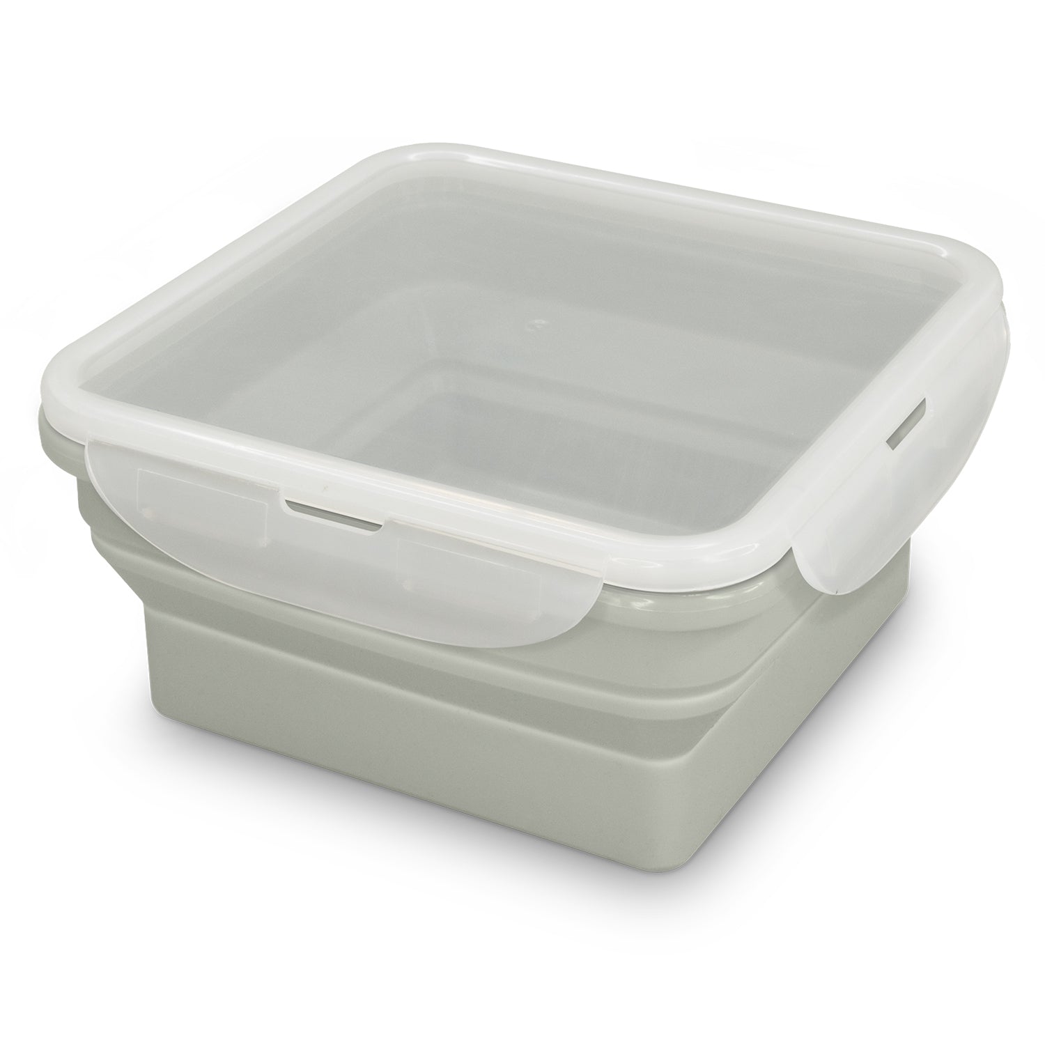 Collapsible Lunch Box (4)