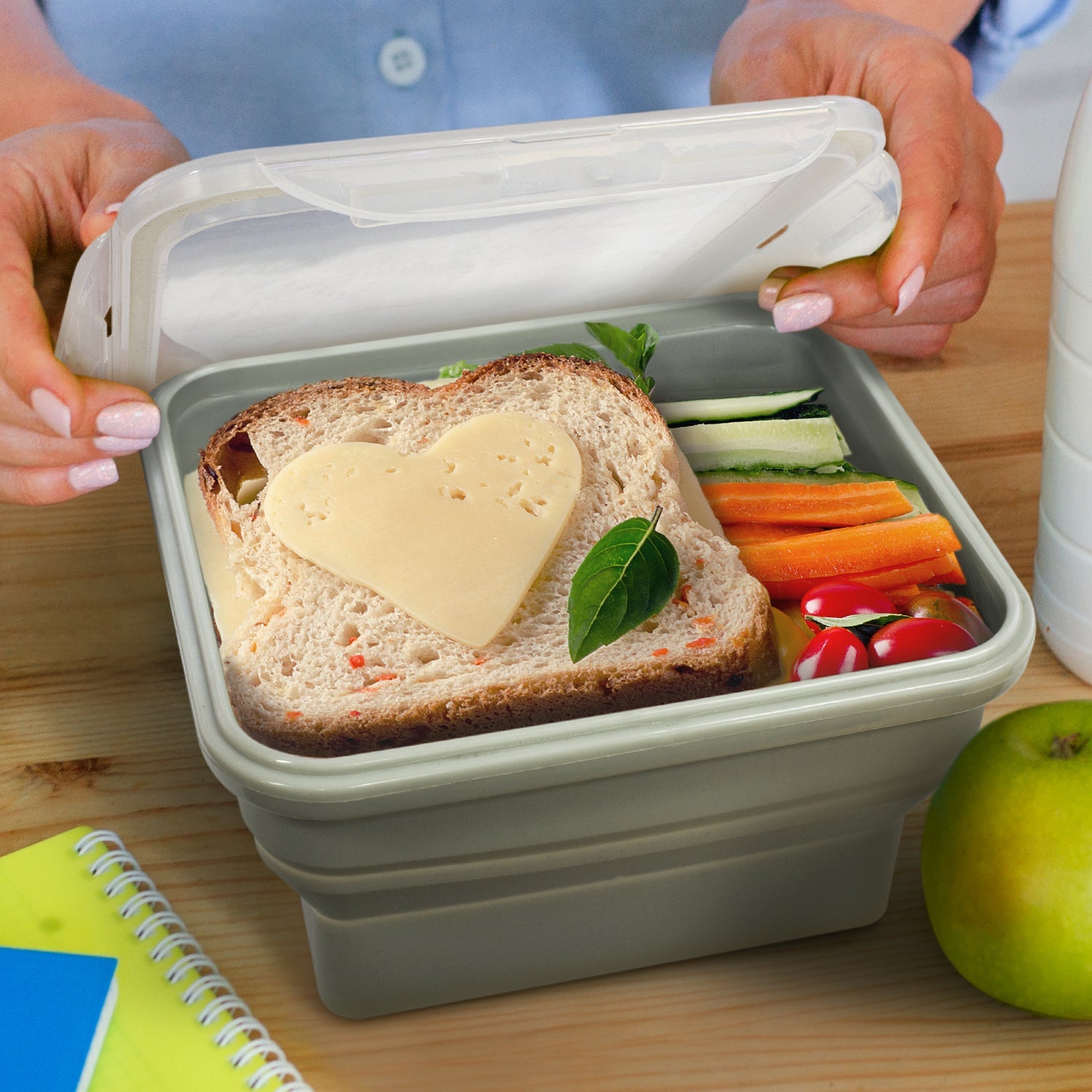 Collapsible Lunch Box (5)