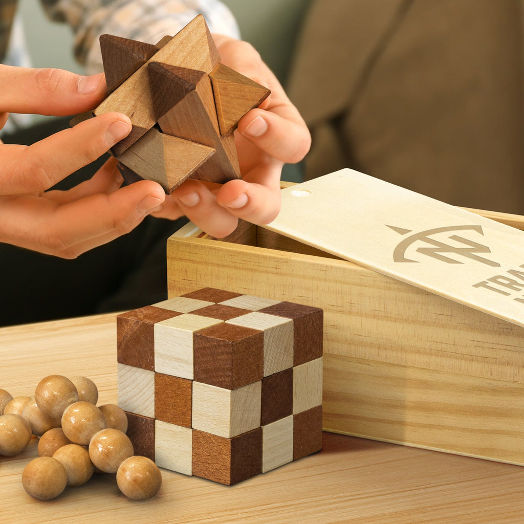 Wooden Brain Teaser Set (6)