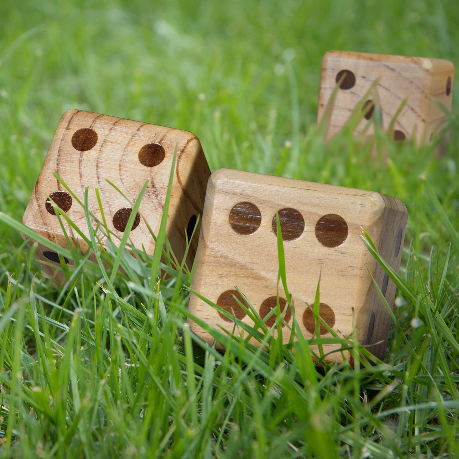 Wooden Yard Dice Game (5)
