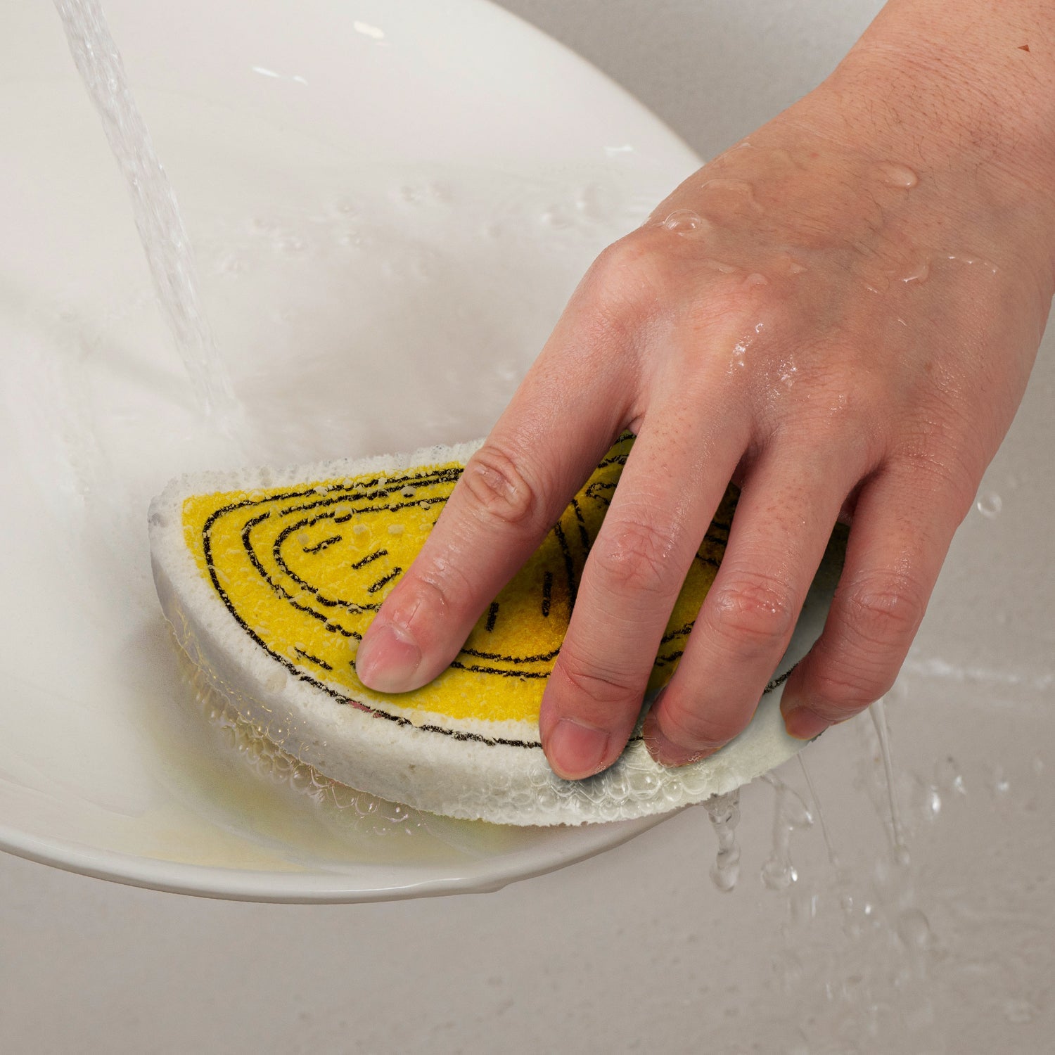 Expandable Sponge (4)