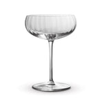 Luigi Bormioli Optica Cocktail Glass (2)