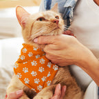 Pet Bandana - Small (2)