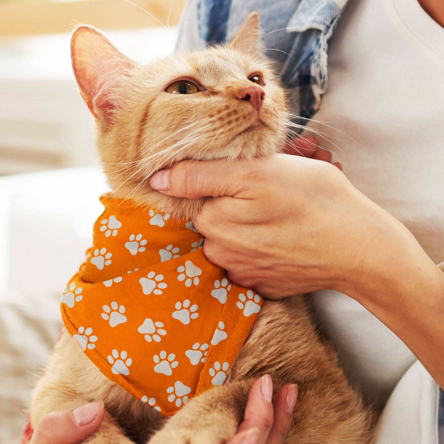 Pet Bandana - Small (2)